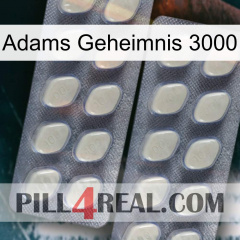 Adams Secret 3000 07